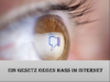 Ein Gesetz gegen Hass im Internet - 2 商品缩略图0