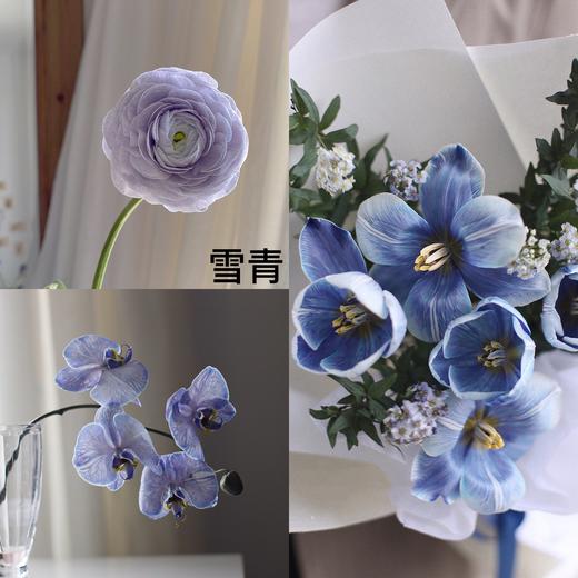 染色剂 ｜ 薇阁出品【包邮到家，任意颜色可搭配】 商品图13