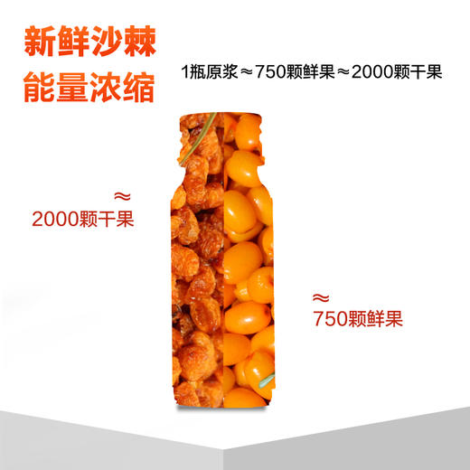 疆果果沙棘原浆液50ml*8瓶/盒新疆鲜果生榨果汁补充维C饮品 商品图3