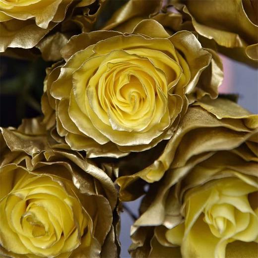 厄瓜多尔进口染色GOLD黄金玫瑰10支 商品图3