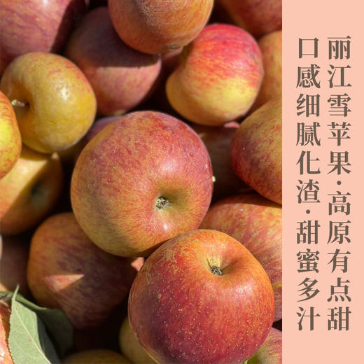 云南丽江玉龙雪山脚下的雪苹果 丑丑的外表  甜甜的内心 来自高原阳光的味道   口感清脆香甜  包邮发出 商品图0