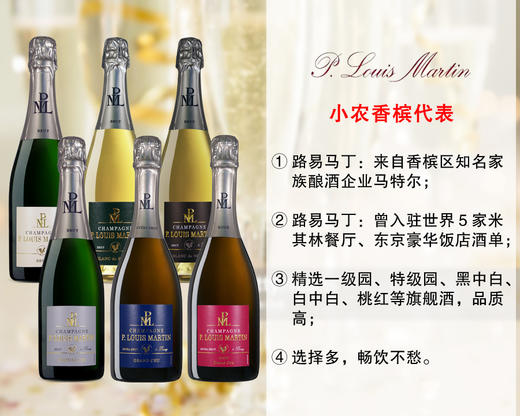 【现货促销，仅限6套】小农香槟代表：路易马丁干型香槟（6款可选） 商品图0