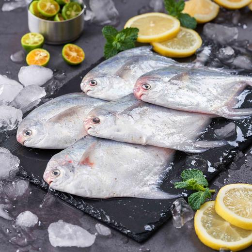 【蛇舞新春】至鲜甄选礼盒（会员专享👑） 商品图7