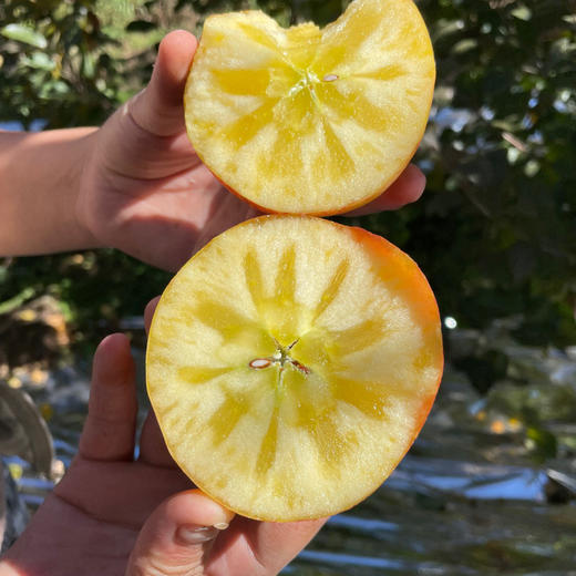 云南丽江玉龙雪山脚下的雪苹果 丑丑的外表  甜甜的内心 来自高原阳光的味道   口感清脆香甜  包邮发出 商品图5