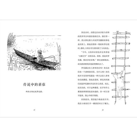 魔法象·雅比的深秋 梨木香步/著 小泽荣/绘 8~12岁 商品图2