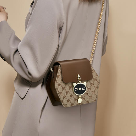 Safiya/索菲娅2023新款链条包时尚女士单肩斜挎女包 SF9161026Y 商品图9