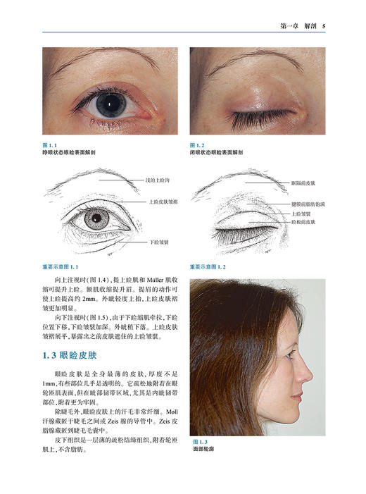 眼整形手术彩色图谱 第4版 附手术视频 眼整形手术步骤术式讲解 整形美容技术 外科医生临床教学范本初学者入门书 人民卫生出版社 商品图4