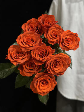 国产单头杏仁酒玫瑰10支