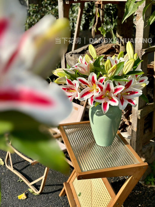 【笑脸香水百合】3头3支9朵/份 商品图6