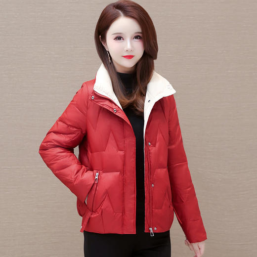 短款拼色时尚羽绒服，冬款小个子修身保暖长袖大码鸭绒外套QYM-CR-FY542-L 商品图0
