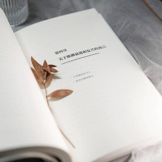 克服欧洲（文明的另一种声音） [塞尔维亚] 佐兰·米卢蒂诺维奇 著 彭裕超 译 商务印书馆 商品图6