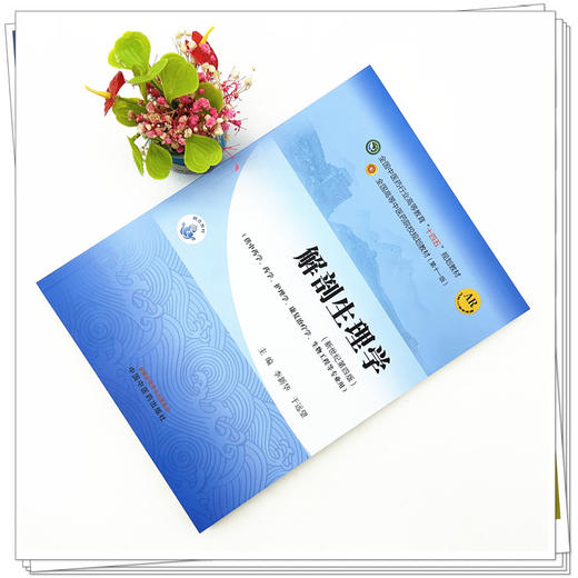 解剖生理学 李新华 于远望 主编 新世纪第四4版 中国中医药出版社 全国中医药行业高等教育第十一版十四五规划教材 商品图1