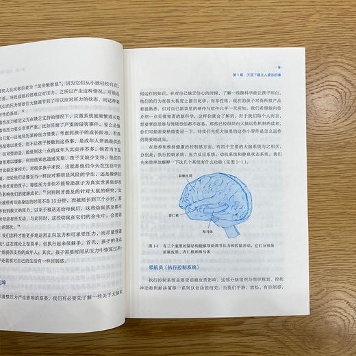 自驱型成长：如何科学有效地培养孩子的自律 商品图3