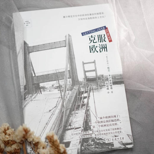 克服欧洲（文明的另一种声音） [塞尔维亚] 佐兰·米卢蒂诺维奇 著 彭裕超 译 商务印书馆 商品图2