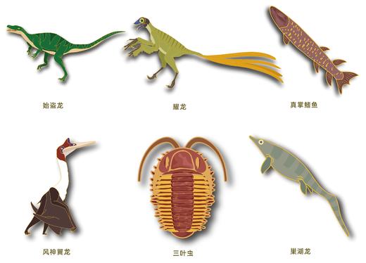 古生物冰箱贴套盒精华版二（12个） 商品图3