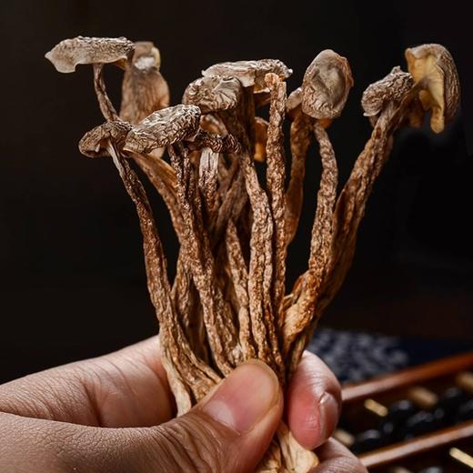 福建干鹿茸菇   40g*3袋 商品图3