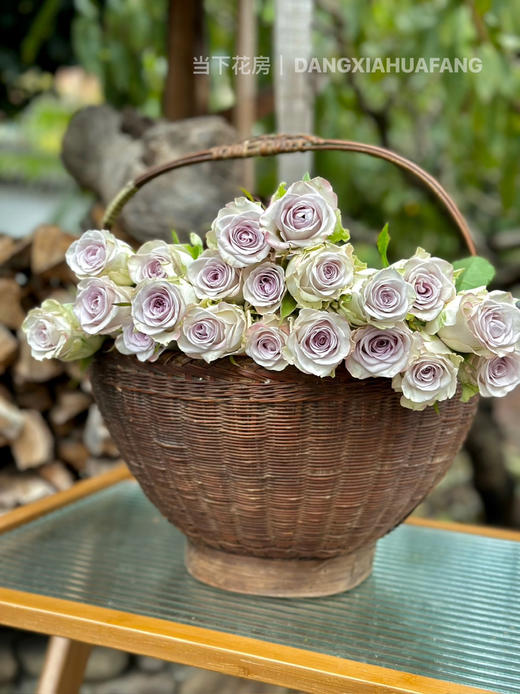 【海洋之心玫瑰】10支/份 长约55cm 采用无土栽培技术培育 商品图12