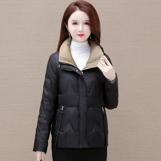 短款拼色时尚羽绒服，冬款小个子修身保暖长袖大码鸭绒外套QYM-CR-FY542-L 商品图2