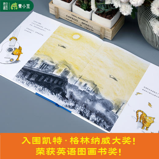 儿童暖心绘本《站台上的小橘猫》真实事件改编 入围格林纳威大奖 商品图1