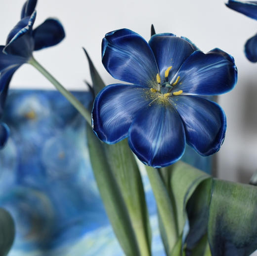 《星空》墨尔本午夜蓝郁金香 商品图3