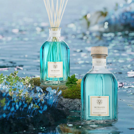 意大利DrVranjes香薰 ACQUA水 无火藤条香薰 商品图1