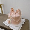 ins网红款-蝴蝶结（提早24小时预定） 商品缩略图1