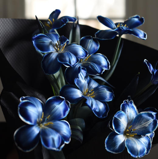 《星空》墨尔本午夜蓝郁金香 商品图5
