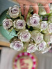 【海洋之心玫瑰】10支/份 长约55cm 采用无土栽培技术培育 商品缩略图9