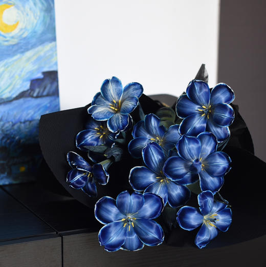 《星空》墨尔本午夜蓝郁金香 商品图0