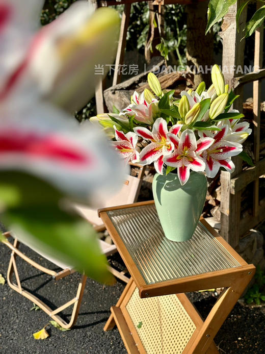 【笑脸香水百合】3头3支9朵/份 商品图5