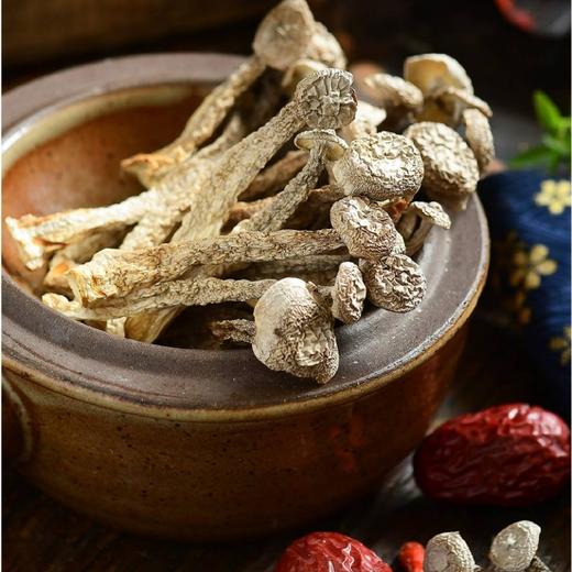 福建干鹿茸菇   40g*3袋 商品图4