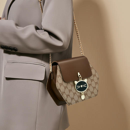 Safiya/索菲娅2023新款链条包时尚女士单肩斜挎女包 SF9161026Y 商品图10