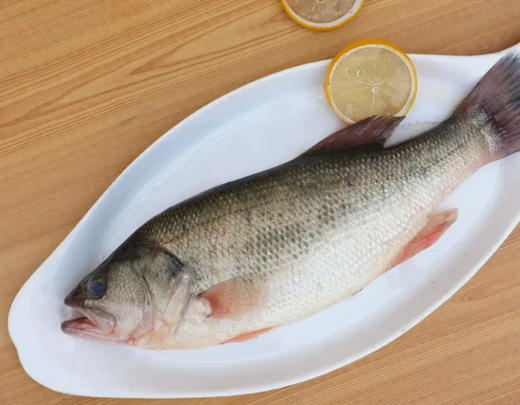 充氧配送至小区门口自提！京鱼鲜生（金源燕莎店）鲜活鲈鱼，600-700克/条 商品图0