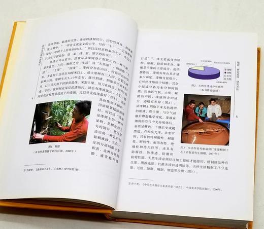 微瑕！《湖南楚汉漆木器研究》，精装，小16开，铜版彩印，聂菲著，岳麓书社2013年一版一印，460页，定价200，售价78元。 商品图5