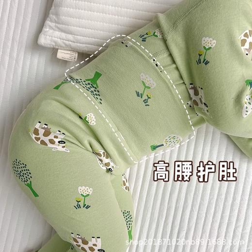 【暖暖的全棉材质，高腰设计呵护小肚子！】宝宝秋衣秋裤新款套装全棉高腰护肚加厚婴儿保暖内衣无骨卡通睡衣 商品图3