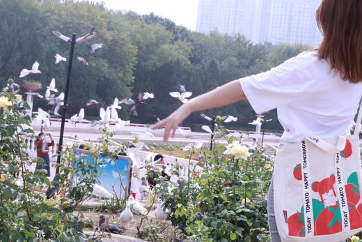 番茄口袋X若来联名包 商品图4