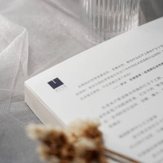 克服欧洲（文明的另一种声音） [塞尔维亚] 佐兰·米卢蒂诺维奇 著 彭裕超 译 商务印书馆 商品图9