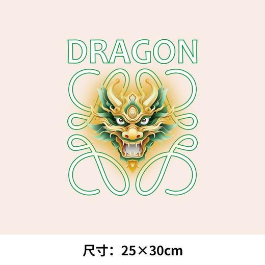 龙年新年定制图案新款遇龙潮文字热转印烫画贴定制白墨衣服装贴潮 商品图4