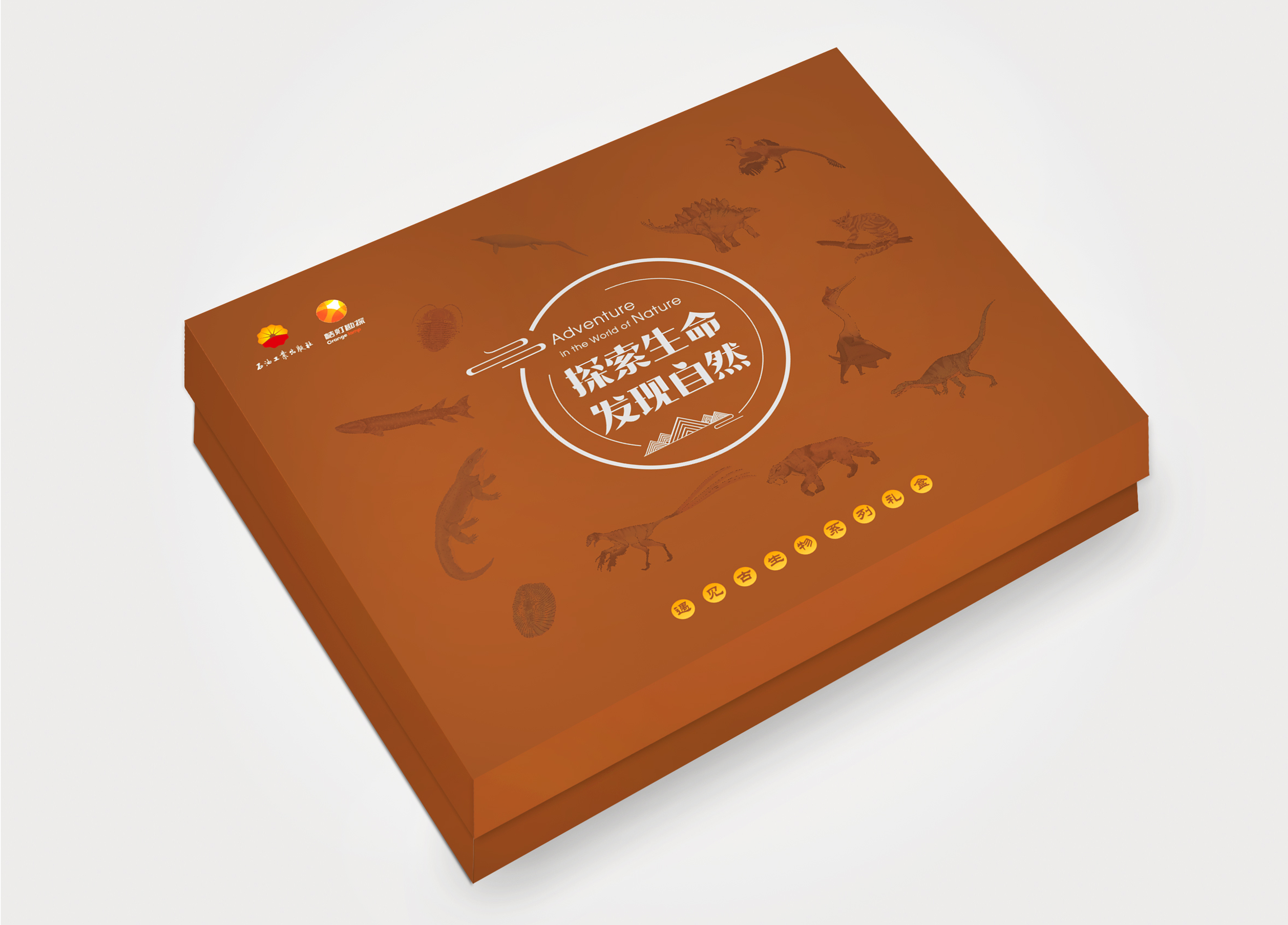 古生物冰箱贴套盒精华版二（12个）