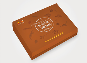 古生物冰箱贴套盒精华版二（12个）