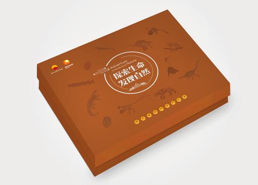 古生物冰箱贴套盒精华版二（12个） 商品图0