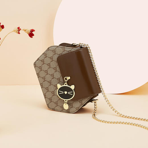 Safiya/索菲娅2023新款链条包时尚女士单肩斜挎女包 SF9161026Y 商品图4