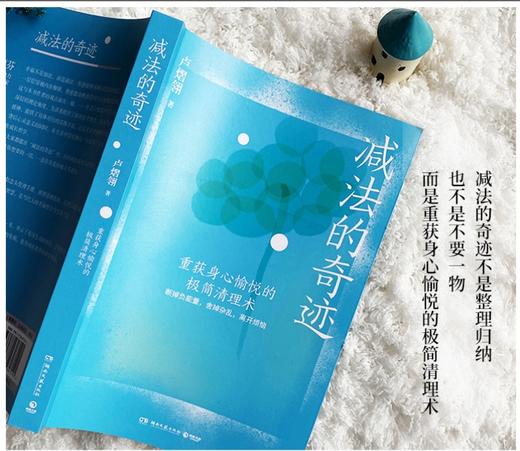 卢老师《减法的奇迹》书籍 心理学作家卢熠翎重磅新作 商品图1