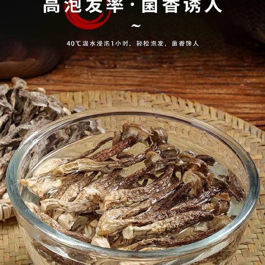 福建干鹿茸菇   40g*3袋 商品图6