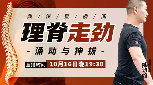 陆功翰传武秘籍第二期——【理脊走劲】涌动与抻拔 商品图0