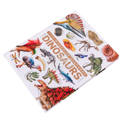 【中商原版】DK 图片中我们的世界 恐龙 Our World in Pictures The Dinosaur Book 英文原版 生命科学 百科科普 商品图1