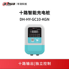 十路智能充电控制器DH-HY-GC10-KGNX