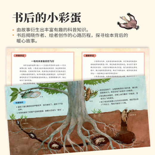 小羊上山心灵成长科普绘本系列（4本） 商品图4