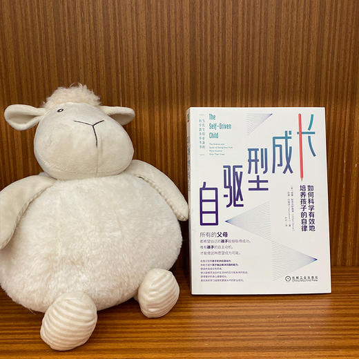 自驱型成长：如何科学有效地培养孩子的自律 商品图1