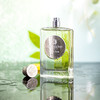 阿特金森 无根之水 Atkinsons Mint & Tonic 分装 商品缩略图2
